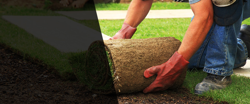 Riner Landscapers